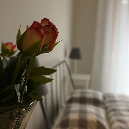 Apartment Gold Krakow